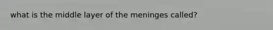 what is the middle layer of the meninges called?