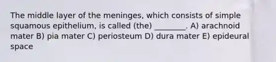 The middle layer of the meninges, which consists of simple squamous epithelium, is called (the) ________. A) arachnoid mater B) pia mater C) periosteum D) dura mater E) epideural space