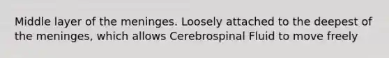 Middle layer of the meninges. Loosely attached to the deepest of the meninges, which allows Cerebrospinal Fluid to move freely