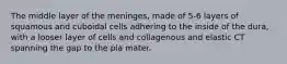 The middle layer of the meninges, made of 5-6 layers of squamous and cuboidal cells adhering to the inside of the dura, with a looser layer of cells and collagenous and elastic CT spanning the gap to the pia mater.