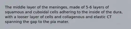 The middle layer of the meninges, made of 5-6 layers of squamous and cuboidal cells adhering to the inside of the dura, with a looser layer of cells and collagenous and elastic CT spanning the gap to the pia mater.