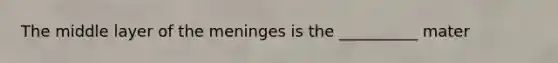 The middle layer of the meninges is the __________ mater