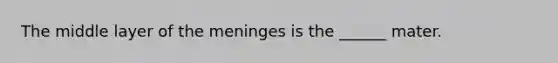 The middle layer of the meninges is the ______ mater.