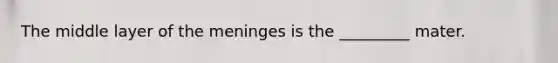 The middle layer of the meninges is the _________ mater.