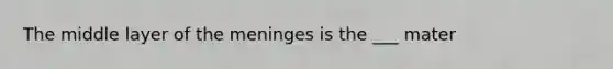 The middle layer of the meninges is the ___ mater