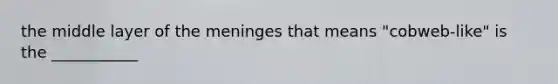 the middle layer of the meninges that means "cobweb-like" is the ___________
