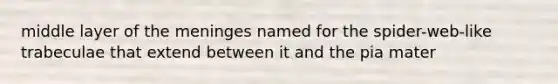 middle layer of the meninges named for the spider-web-like trabeculae that extend between it and the pia mater