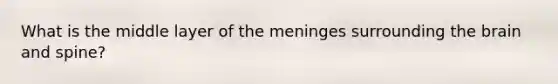 What is the middle layer of the meninges surrounding the brain and spine?