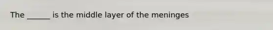 The ______ is the middle layer of the meninges