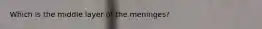 Which is the middle layer of the meninges?