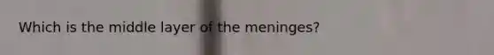 Which is the middle layer of the meninges?