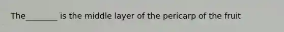 The________ is the middle layer of the pericarp of the fruit