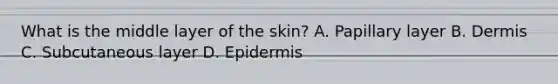 What is the middle layer of the​ skin? A. Papillary layer B. Dermis C. Subcutaneous layer D. Epidermis