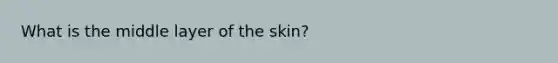 What is the middle layer of the skin?