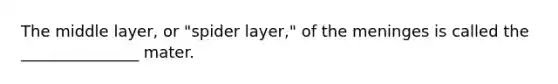 The middle layer, or "spider layer," of the meninges is called the _______________ mater.