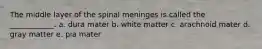 The middle layer of the spinal meninges is called the ____________. a. dura mater b. white matter c. arachnoid mater d. gray matter e. pia mater