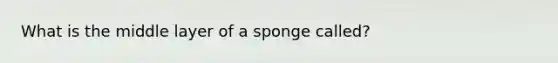 What is the middle layer of a sponge called?