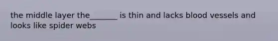 the middle layer the_______ is thin and lacks <a href='https://www.questionai.com/knowledge/kZJ3mNKN7P-blood-vessels' class='anchor-knowledge'>blood vessels</a> and looks like spider webs