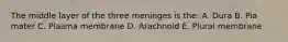 The middle layer of the three meninges is the: A. Dura B. Pia mater C. Plasma membrane D. Arachnoid E. Plural membrane