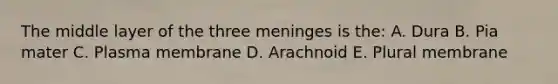 The middle layer of the three meninges is the: A. Dura B. Pia mater C. Plasma membrane D. Arachnoid E. Plural membrane