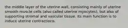 the middle layer of the uterine wall, consisting mainly of uterine smooth muscle cells (also called uterine myocytes), but also of supporting stromal and vascular tissue. Its main function is to induce uterine contractions.