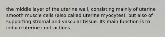 the middle layer of the uterine wall, consisting mainly of uterine smooth muscle cells (also called uterine myocytes), but also of supporting stromal and vascular tissue. Its main function is to induce uterine contractions.