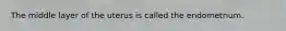 The middle layer of the uterus is called the endometrium.