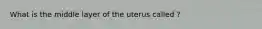 What is the middle layer of the uterus called ?