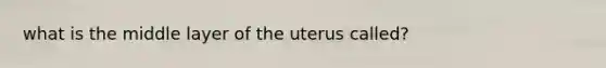 what is the middle layer of the uterus called?