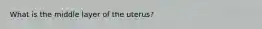 What is the middle layer of the uterus?