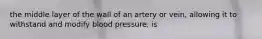 the middle layer of the wall of an artery or vein, allowing it to withstand and modify blood pressure, is