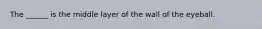 The ______ is the middle layer of the wall of the eyeball.