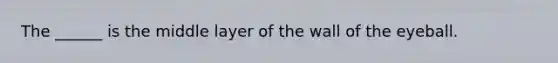 The ______ is the middle layer of the wall of the eyeball.