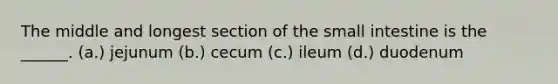 The middle and longest section of the small intestine is the ______. (a.) jejunum (b.) cecum (c.) ileum (d.) duodenum