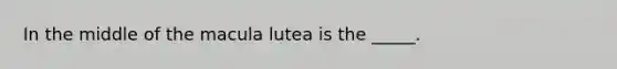 In the middle of the macula lutea is the _____.