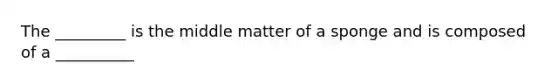 The _________ is the middle matter of a sponge and is composed of a __________