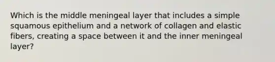 Which is the middle meningeal layer that includes a simple squamous epithelium and a network of collagen and elastic fibers, creating a space between it and the inner meningeal layer?