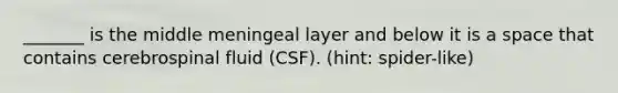 _______ is the middle meningeal layer and below it is a space that contains cerebrospinal fluid (CSF). (hint: spider-like)