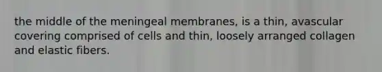 the middle of the meningeal membranes, is a thin, avascular covering comprised of cells and thin, loosely arranged collagen and elastic fibers.