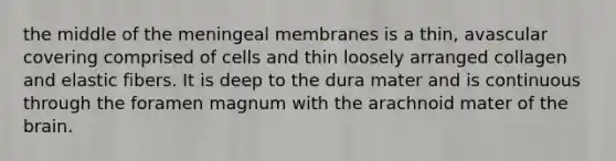 the middle of the meningeal membranes is a thin, avascular covering comprised of cells and thin loosely arranged collagen and elastic fibers. It is deep to the dura mater and is continuous through the foramen magnum with the arachnoid mater of the brain.