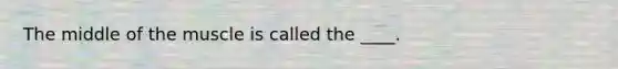 The middle of the muscle is called the ____.