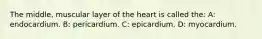 The middle, muscular layer of the heart is called the: A: endocardium. B: pericardium. C: epicardium. D: myocardium.