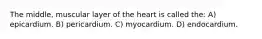 The middle, muscular layer of the heart is called the: A) epicardium. B) pericardium. C) myocardium. D) endocardium.