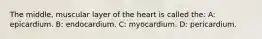 The middle, muscular layer of the heart is called the: A: epicardium. B: endocardium. C: myocardium. D: pericardium.