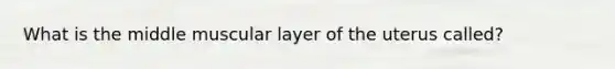 What is the middle muscular layer of the uterus called?