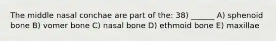 The middle nasal conchae are part of the: 38) ______ A) sphenoid bone B) vomer bone C) nasal bone D) ethmoid bone E) maxillae