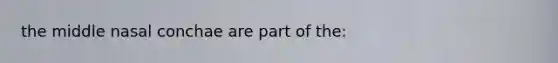 the middle nasal conchae are part of the: