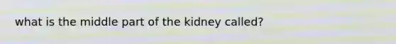 what is the middle part of the kidney called?