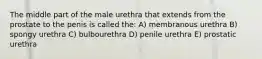 The middle part of the male urethra that extends from the prostate to the penis is called the: A) membranous urethra B) spongy urethra C) bulbourethra D) penile urethra E) prostatic urethra