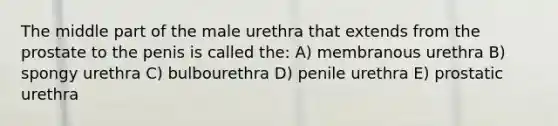 The middle part of the male urethra that extends from the prostate to the penis is called the: A) membranous urethra B) spongy urethra C) bulbourethra D) penile urethra E) prostatic urethra